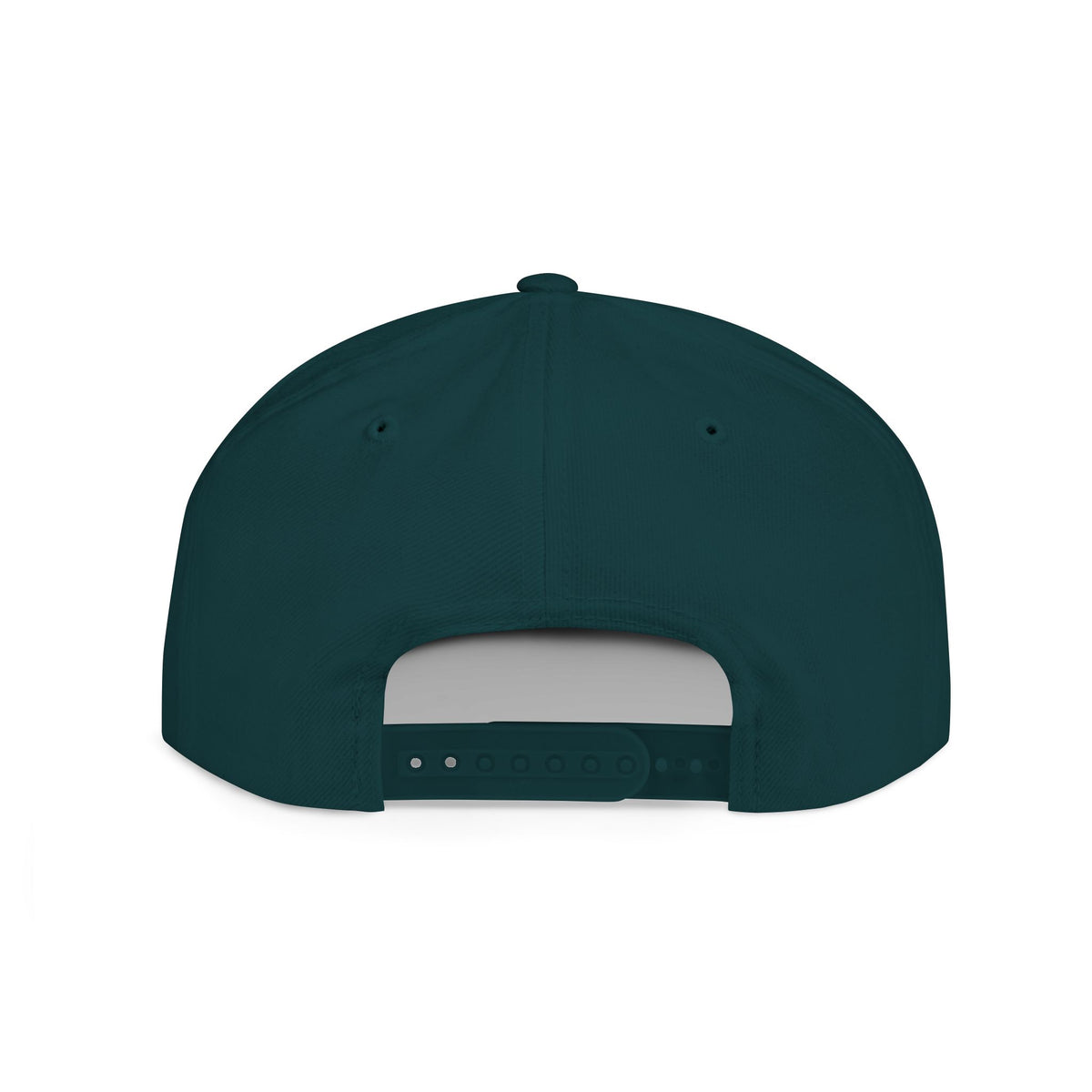 DubX Colorado Snapback